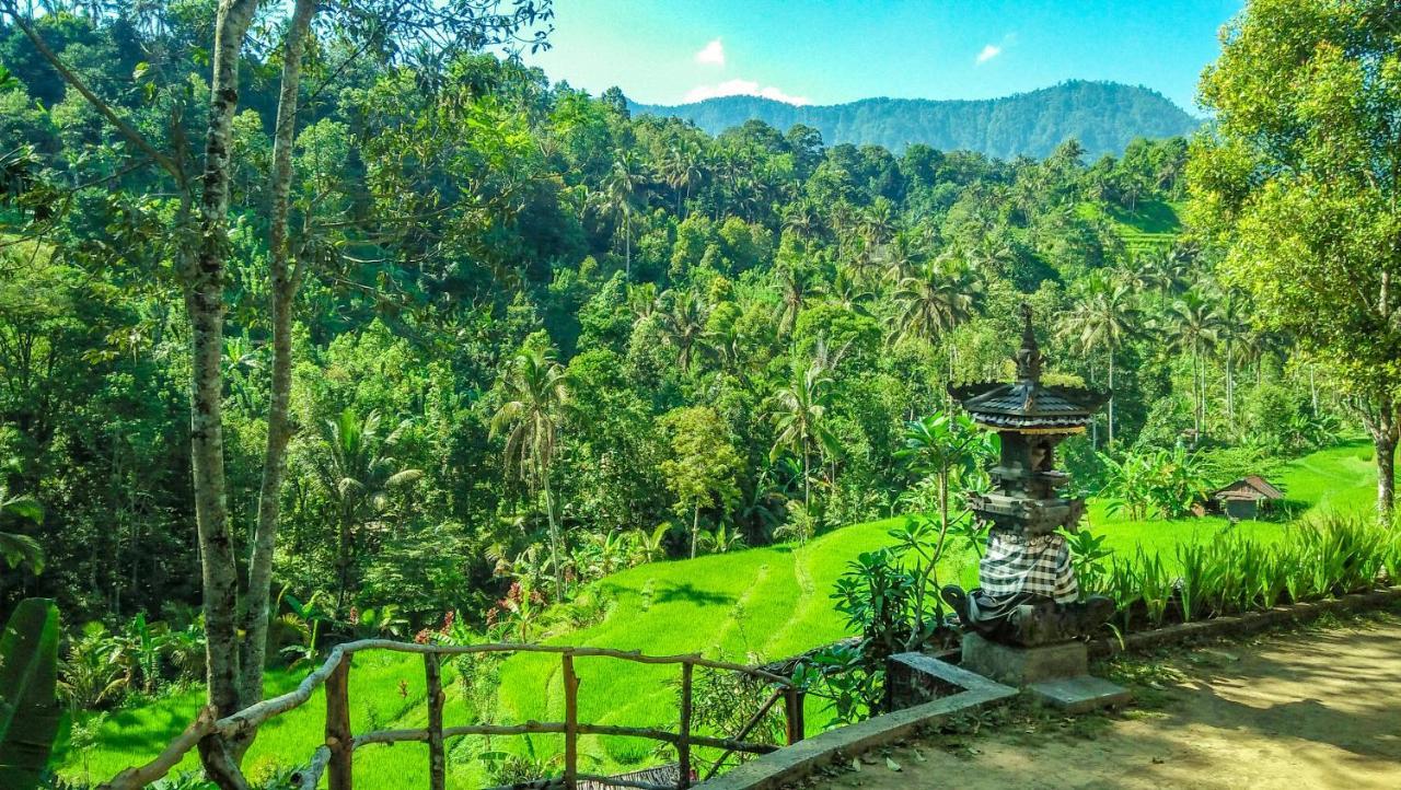 Buda'S Homestay Lemukih Pabean Buleleng Exteriör bild