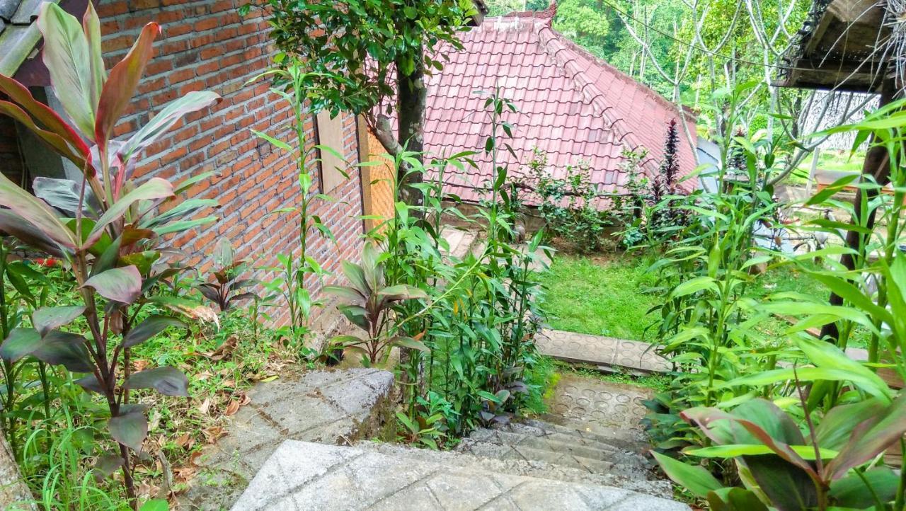 Buda'S Homestay Lemukih Pabean Buleleng Exteriör bild