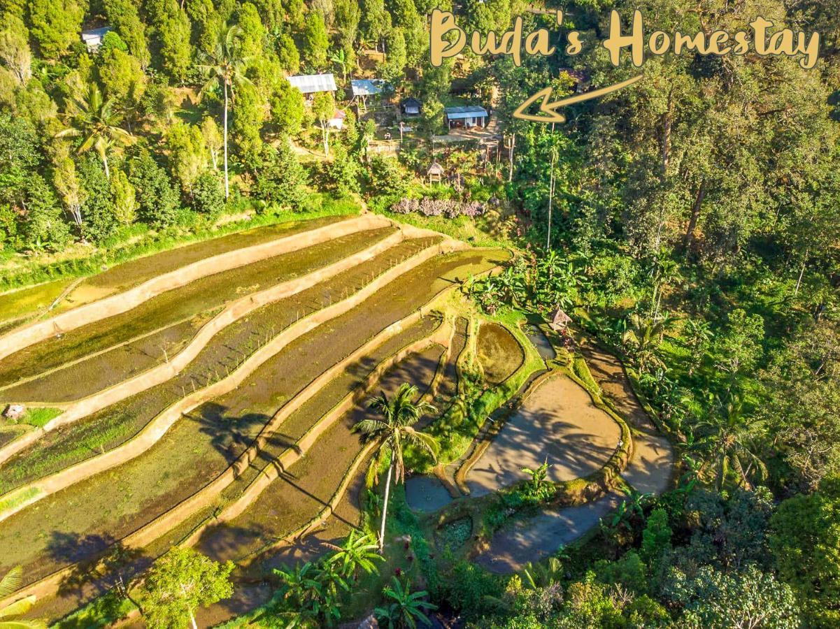 Buda'S Homestay Lemukih Pabean Buleleng Exteriör bild
