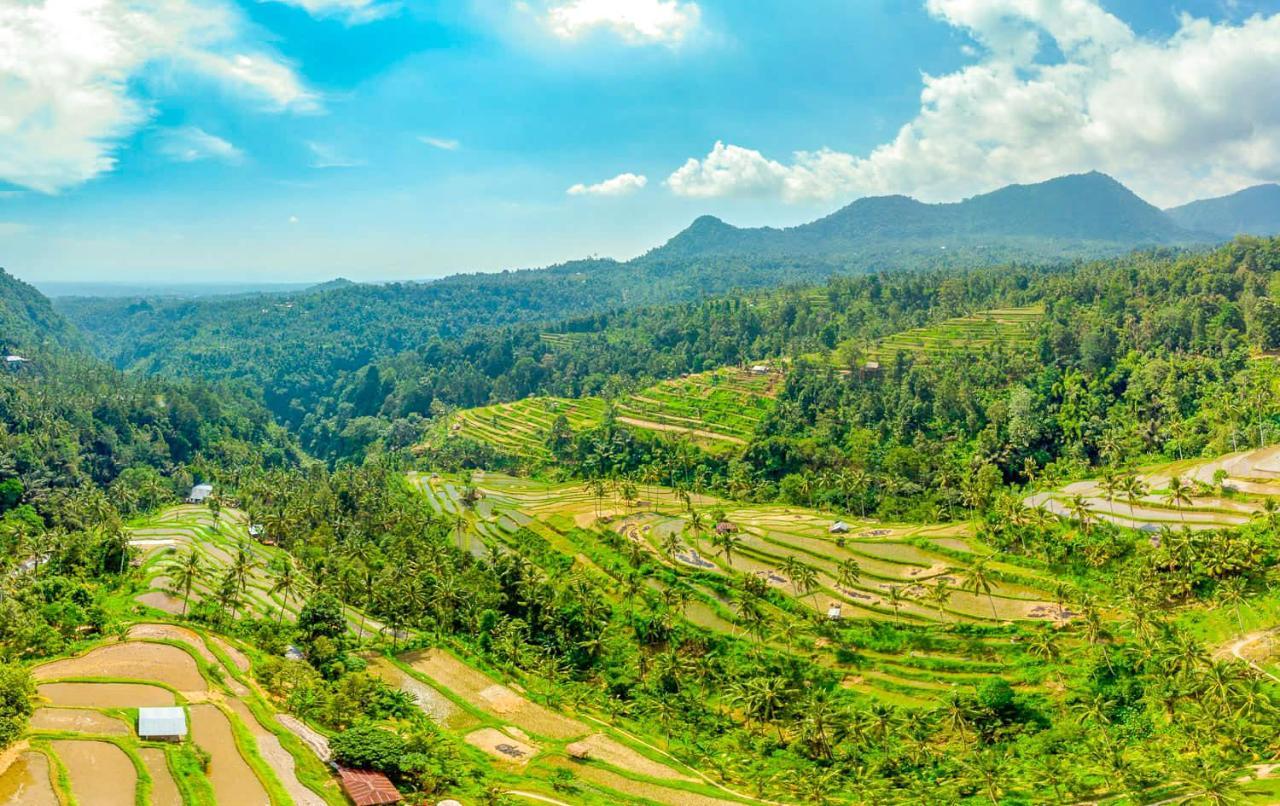 Buda'S Homestay Lemukih Pabean Buleleng Exteriör bild