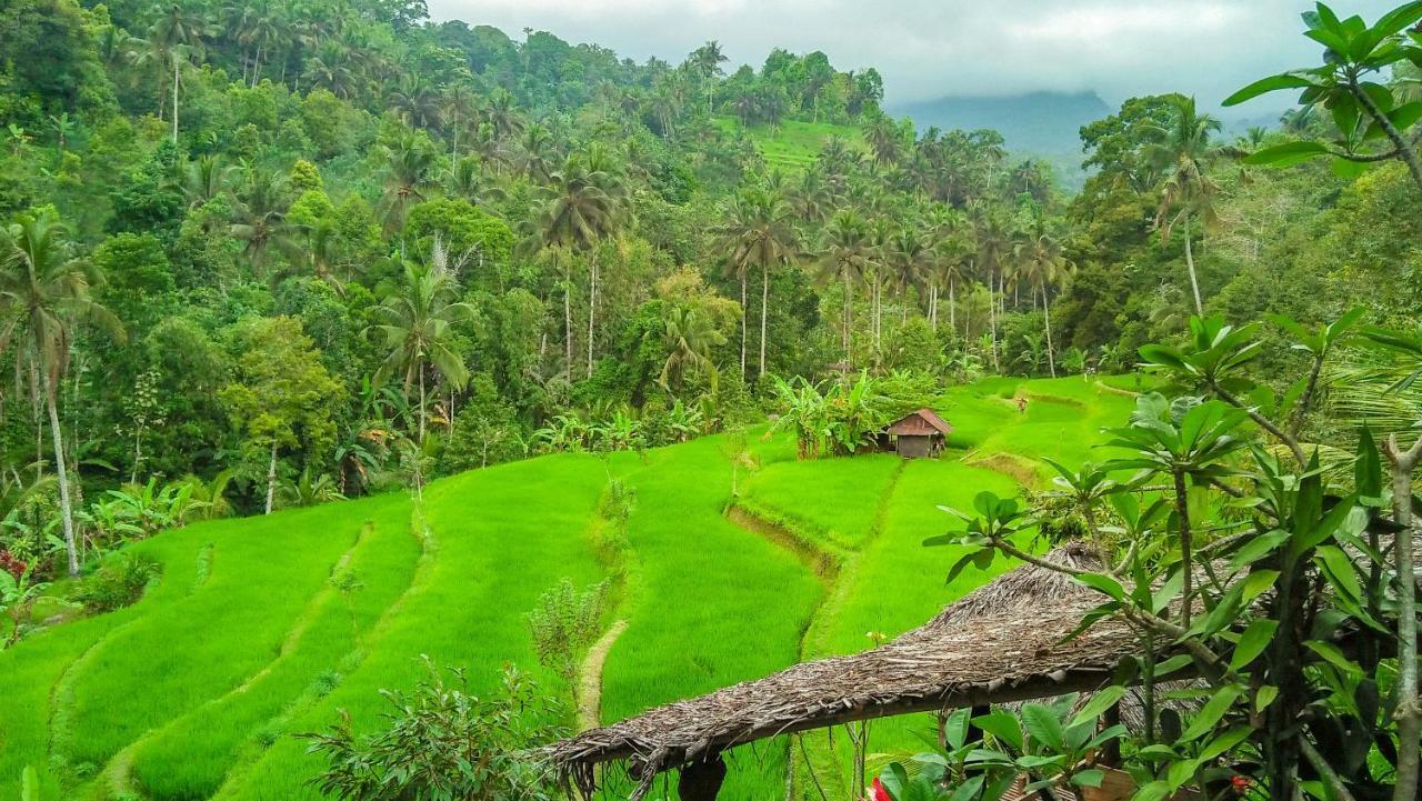 Buda'S Homestay Lemukih Pabean Buleleng Exteriör bild