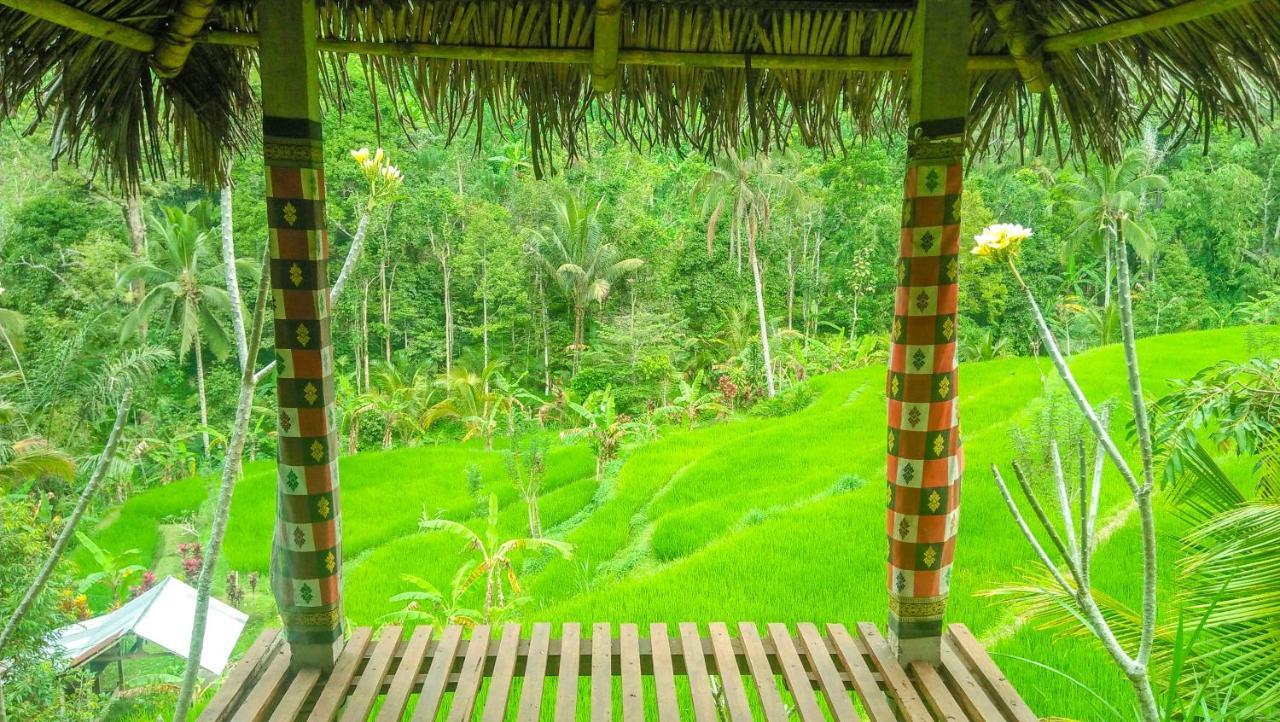 Buda'S Homestay Lemukih Pabean Buleleng Exteriör bild