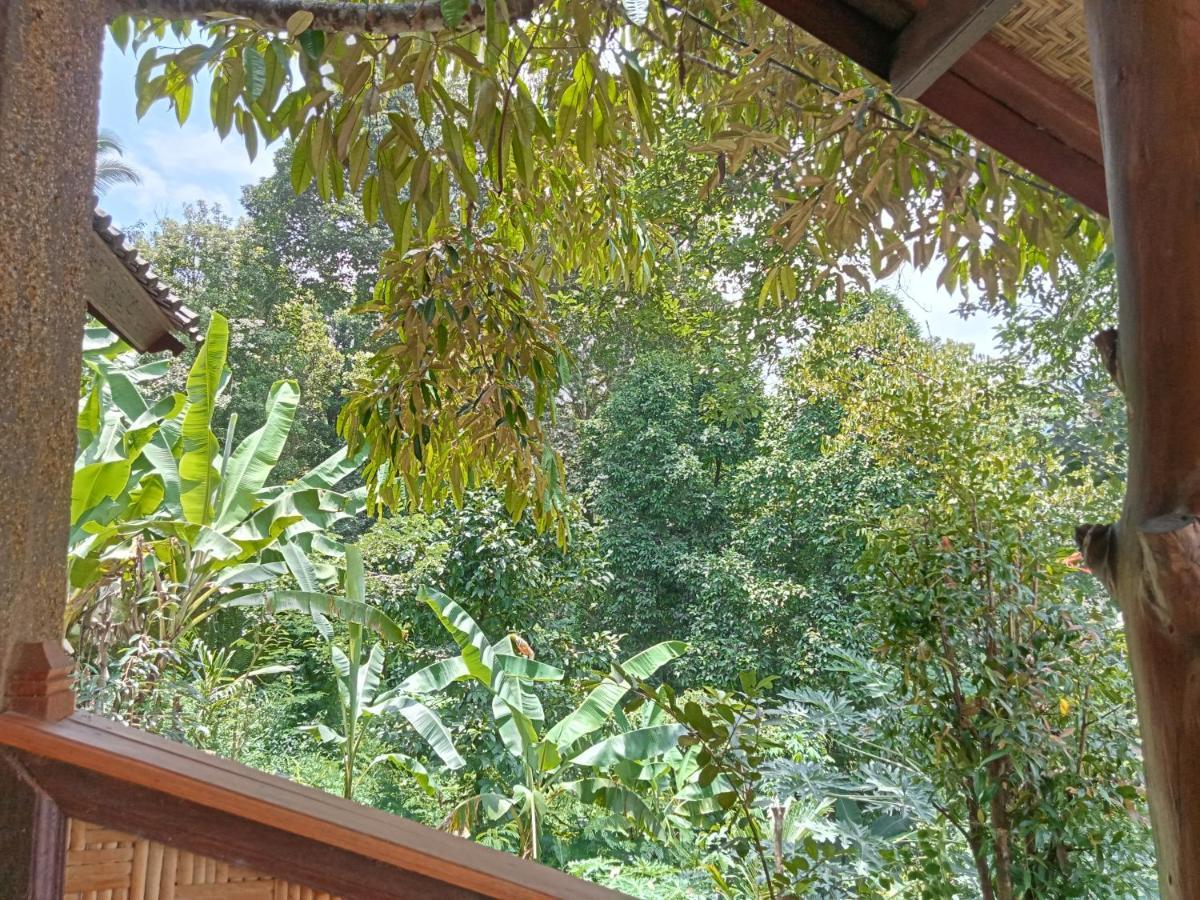 Buda'S Homestay Lemukih Pabean Buleleng Exteriör bild