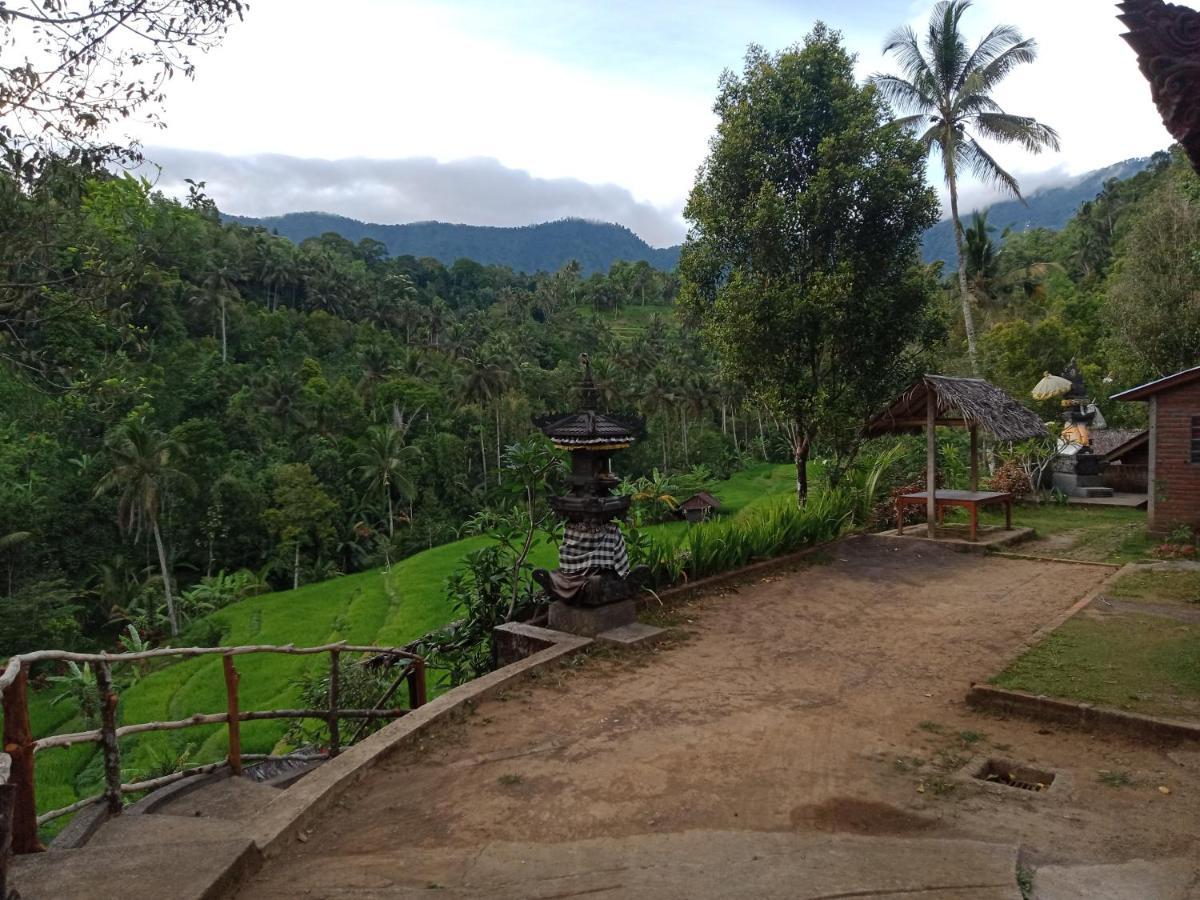 Buda'S Homestay Lemukih Pabean Buleleng Exteriör bild