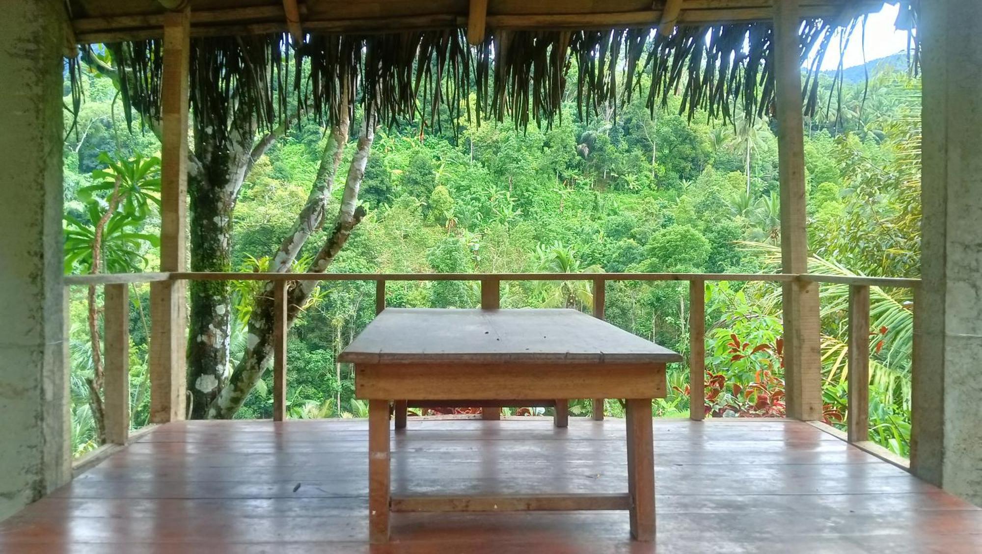 Buda'S Homestay Lemukih Pabean Buleleng Exteriör bild