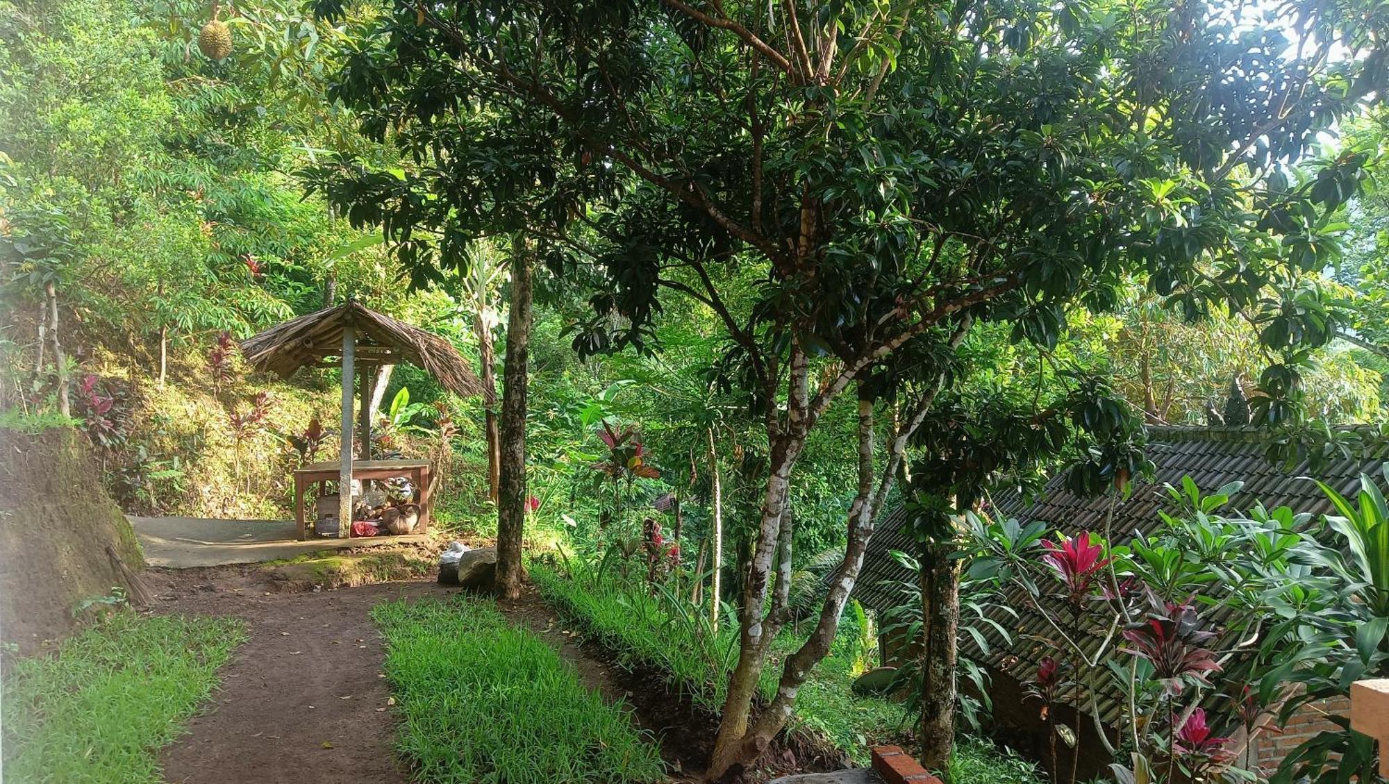 Buda'S Homestay Lemukih Pabean Buleleng Exteriör bild