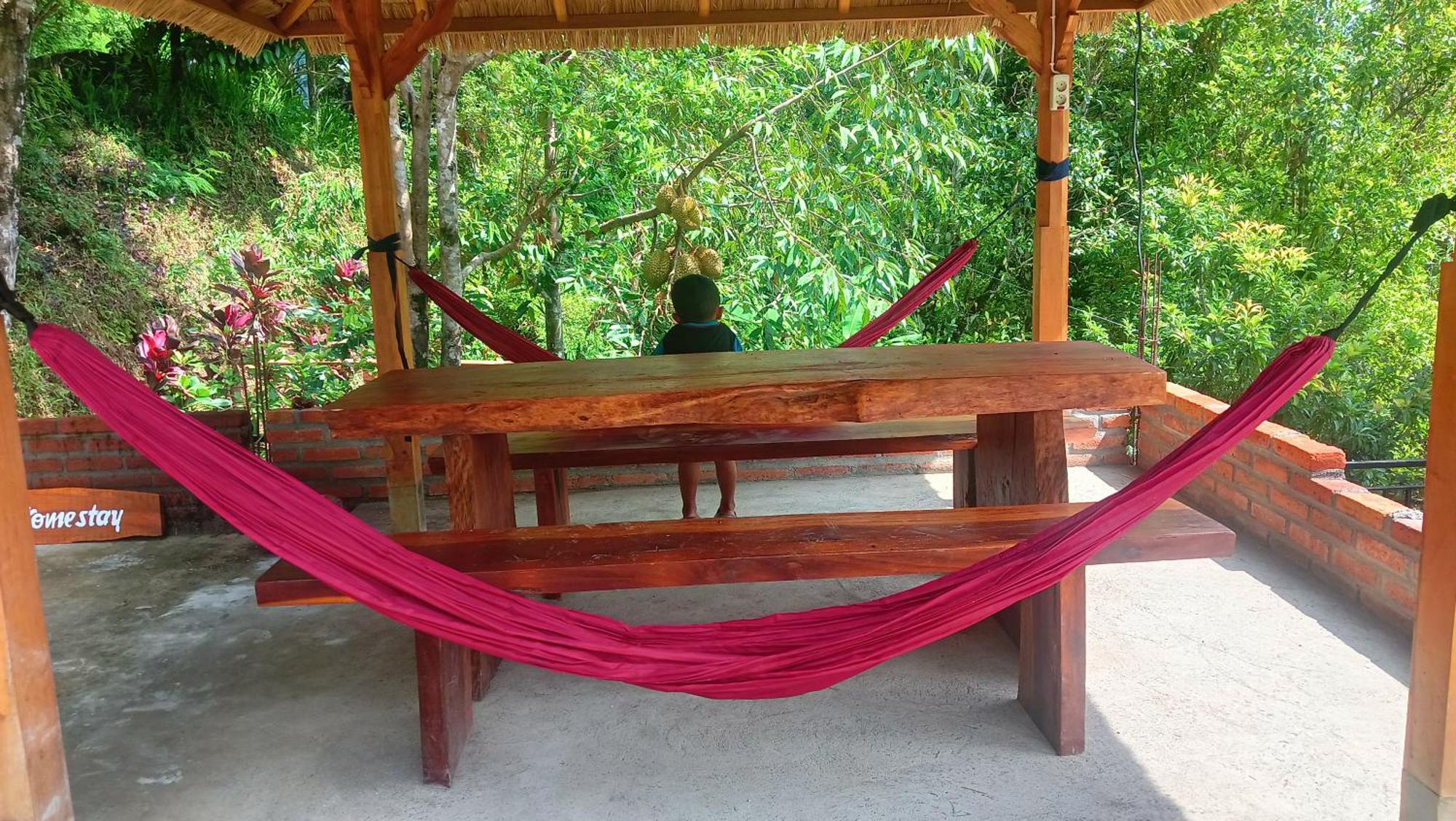 Buda'S Homestay Lemukih Pabean Buleleng Exteriör bild
